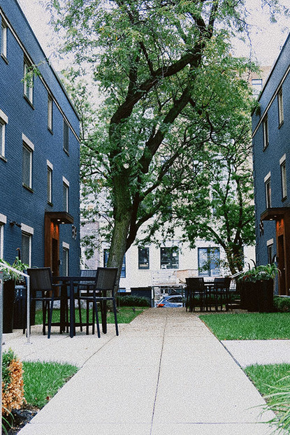 Optimize Your Property